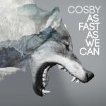 28-08-2015 - wilde_schneider - COSBY - cover.jpg